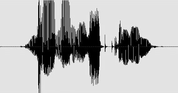 Audioausschlag in schwarz-weiss des Wortes Journalist*innen