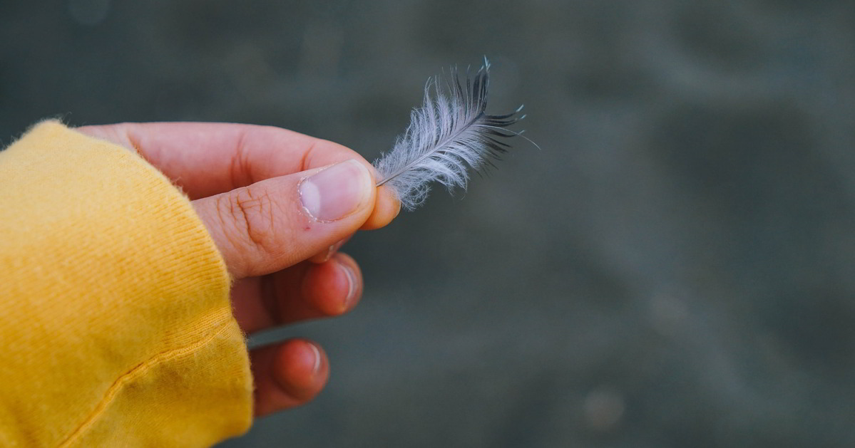 Eine Hand mit gelbem Pulliärmel hält eine kleine Vogelfeder